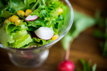 Spring salad from early vegetables, lettuce leaves, radishes and herbs in a plate on the table
