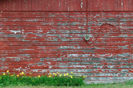 weathered red-painted wall with yellow flowers