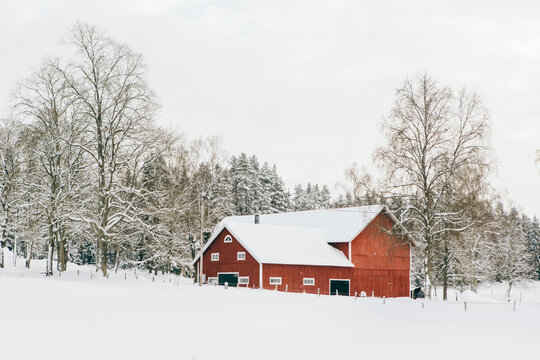 Red barn in snowy Swedish countryside