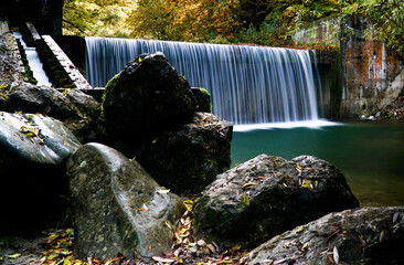 une cascade dans la forêt 