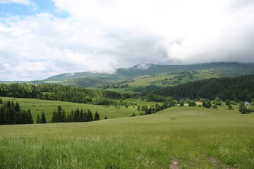 summer landscape with mountains