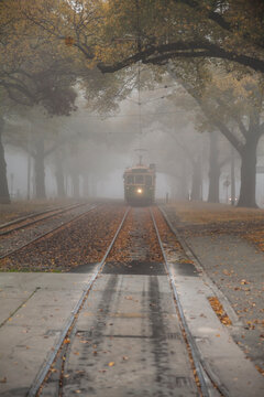 Vintage Tram In A Foggy Autumn Scene