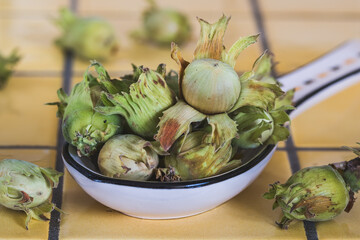 Freshly harvested hazelnuts on a white china spoon on yellow tiles