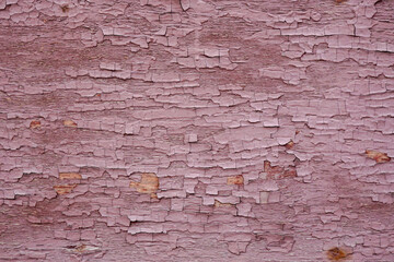     Peeling burgundy paint on a wooden board.