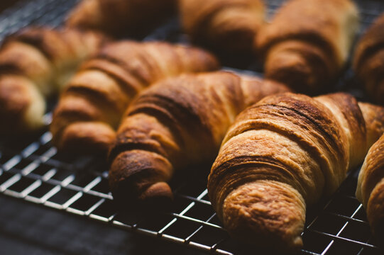 Fresh Croissants