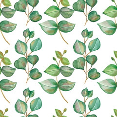 Watercolor hand painted nature greenery plants seamless pattern with green eucalyptus leaves on branches composition isolated on the white background for print design, wallpapers and textile