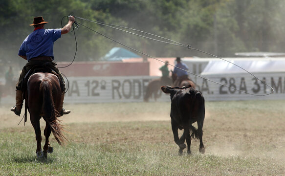 Rodeio