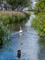 Views around RSPB Leighton Moss, Lancashire. August 2020