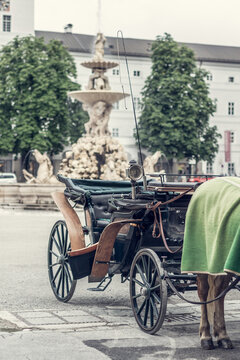cab horses called fiaker in the oldtown of salzburg