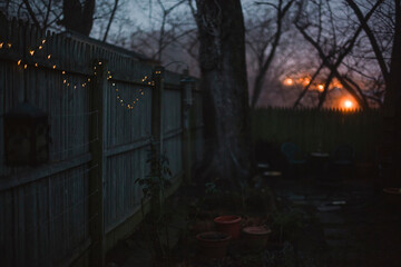 Twinkle lights strung along a fence in a city garden.