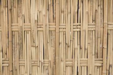 Bamboo texture