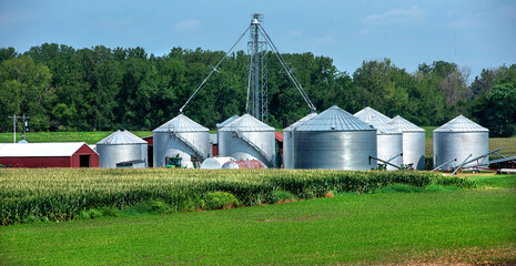 Rows of corn crop in farm field and soybean field, food storage containers, silos, red barn in background © Jon