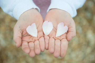 Little girl holding heart shaped petals