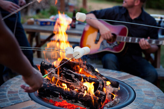 Party: Friends Cooking Marshmallows Over Fire