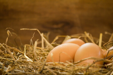 Eggs in a wooden basket