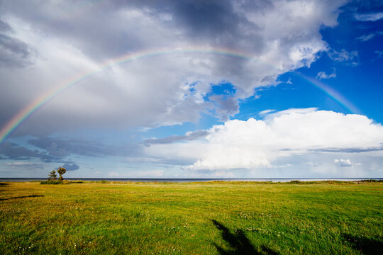 Full rainbow over green meadow by sea