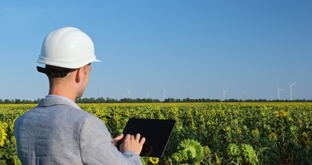 A man in a white helmet works with a tablet against the backdrop of windmills working.