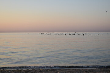 Naklejka premium sunset on the beach