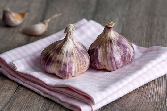purple garlic