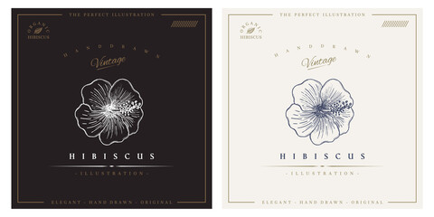 Hibiscus flower vintage logo illustration
