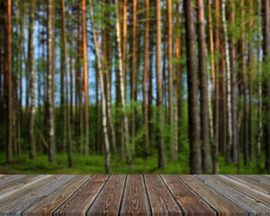 Naklejka na ściany i meble Empty wooden flooring on blurry forest background.