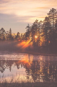 Scandinavian sunet