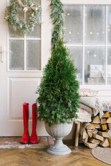 Christmas tree or thuja near the entrance door to the house, red boots and wood for the fireplace