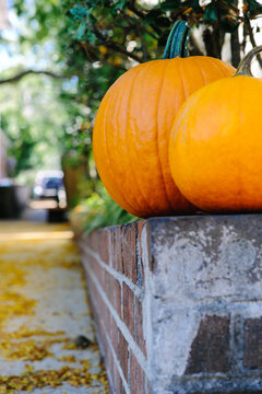 pumpkins up on a brick wall