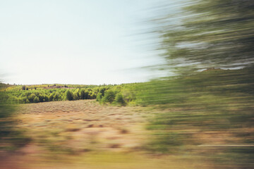 Dry Sierra Nevada Landscape