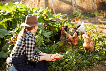 Woman farmer with fresh picked organic eggs and chickens on farm