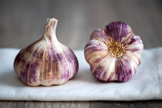 purple garlic