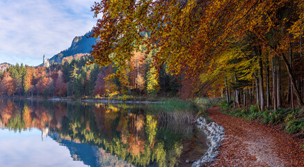 Autumn landscape in bavarian alps. Bavarian forest on the lakeshore near the town Fussen