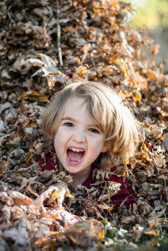Young child laughs with joy while playing in a pile of fallen leaves in autumn