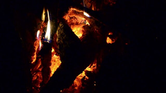 the wood burning in the fireplace. embers in a fire of forest gifts
