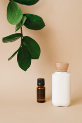 A bottle of cream for skin care for the face or body, a brown glass bottle with oil and leaves of zamiokulkas on a beige background. Organic cosmetic products