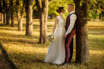 Newlyweds walk along the trees alley in the park. Wedding day in autumn. Wedding walk of the bride and groom at sunset. Newlyweds stand a corridor of trees