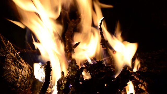 the wood burning in the fireplace. embers in a fire of forest gifts