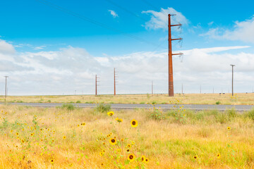 Giant power pylons carry power across rural landscape on Route 66 Texas, USA