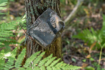 A rusty army pot for food, found at the site of bloody fighting During World War II in Russia. 