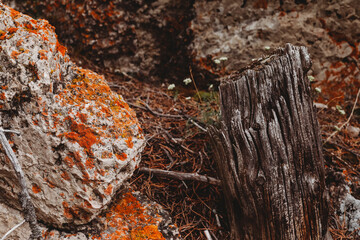 orange rock