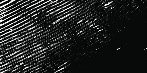 Slim lines texture. Parallel and intersecting lines abstract pattern. Abstract textured effect. Black isolated on white background.Vector illustration. EPS10.