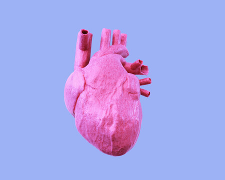 Pink human heart isolated on a blue background. 3d illustration