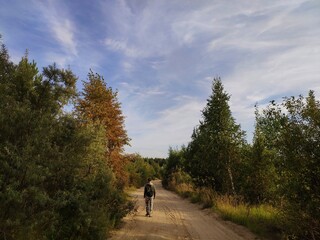 a walk in the autumn forest. Sunny day in autumn. a man walks along the road