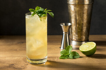 Refreshing Mint GinGin Mule Cocktail