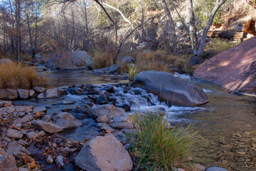 stream in the forest
