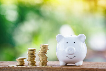 Piggy bank with the many stack gold coins with growth of value the benefit from dividends put on...