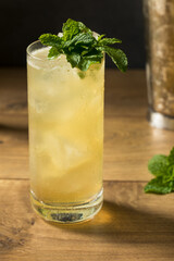 Refreshing Mint GinGin Mule Cocktail