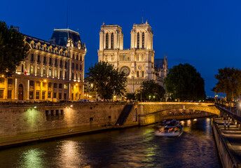 Fototapeta premium notre dame de paris at night