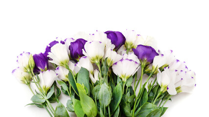Bouquet of white and blue eustoma.