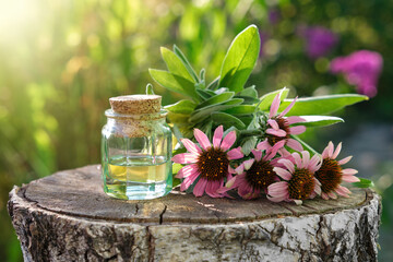 Bottle of essential oil or infusion, coneflowers and sage plants on stump outdoors. Alternative medicine. - obrazy, fototapety, plakaty